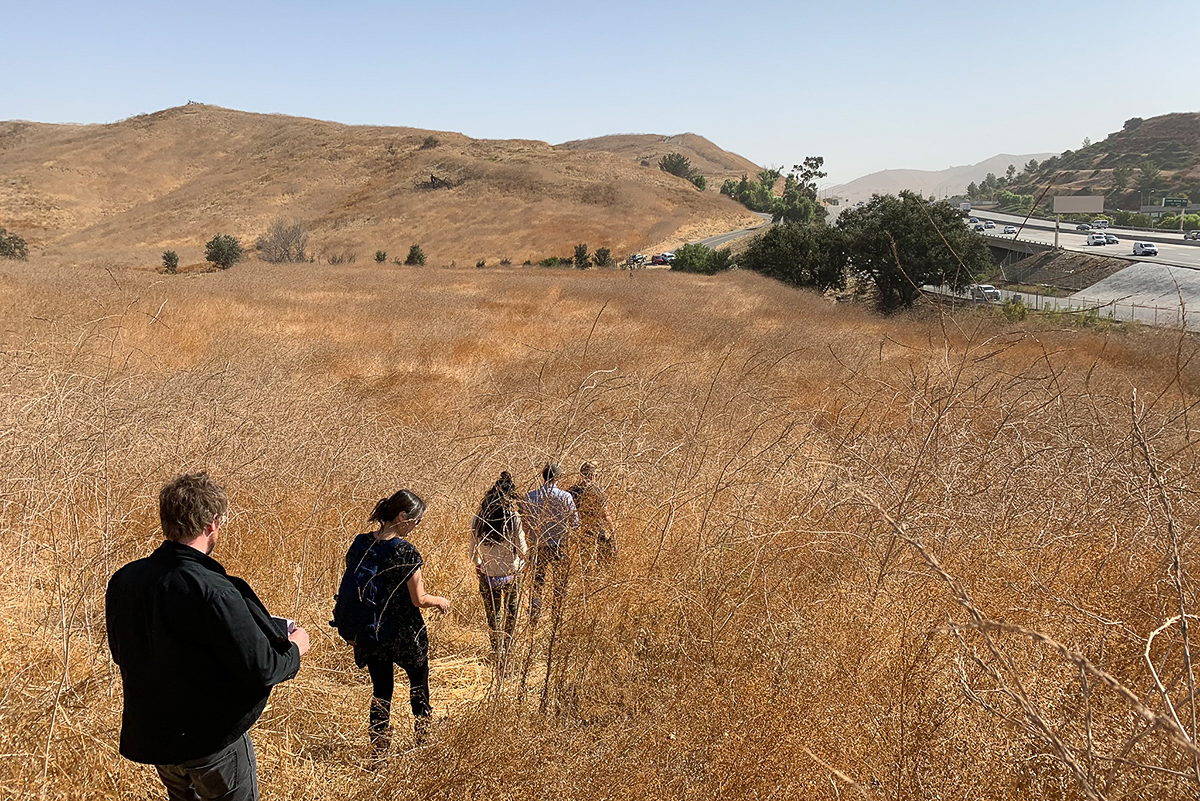 The Age of Connectivity: How Wildlife Crossings Help Animals and People