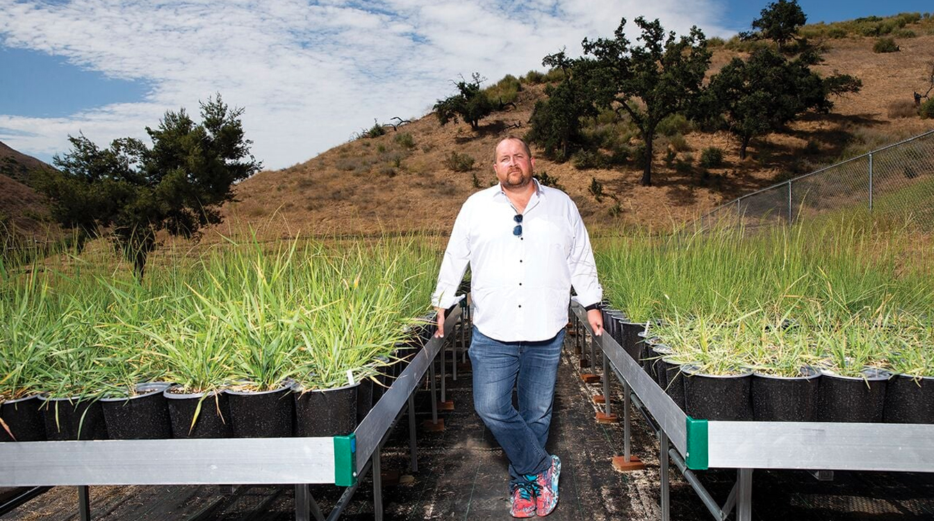 Boosting Biodiversity: The Wallis Annenberg Wildlife Crossing seeks to ensure natural feel