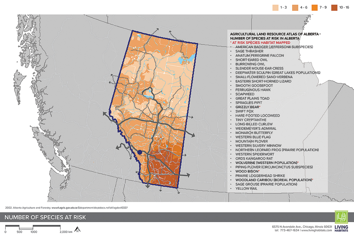 Canmore wildlife crossing project