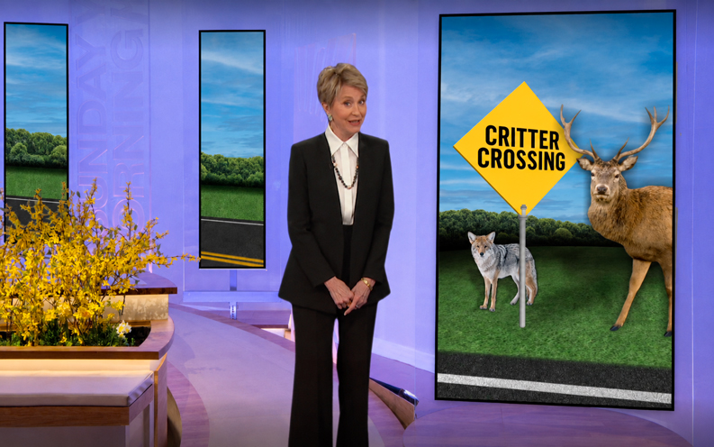 How wildlife crossings protect both animals and people