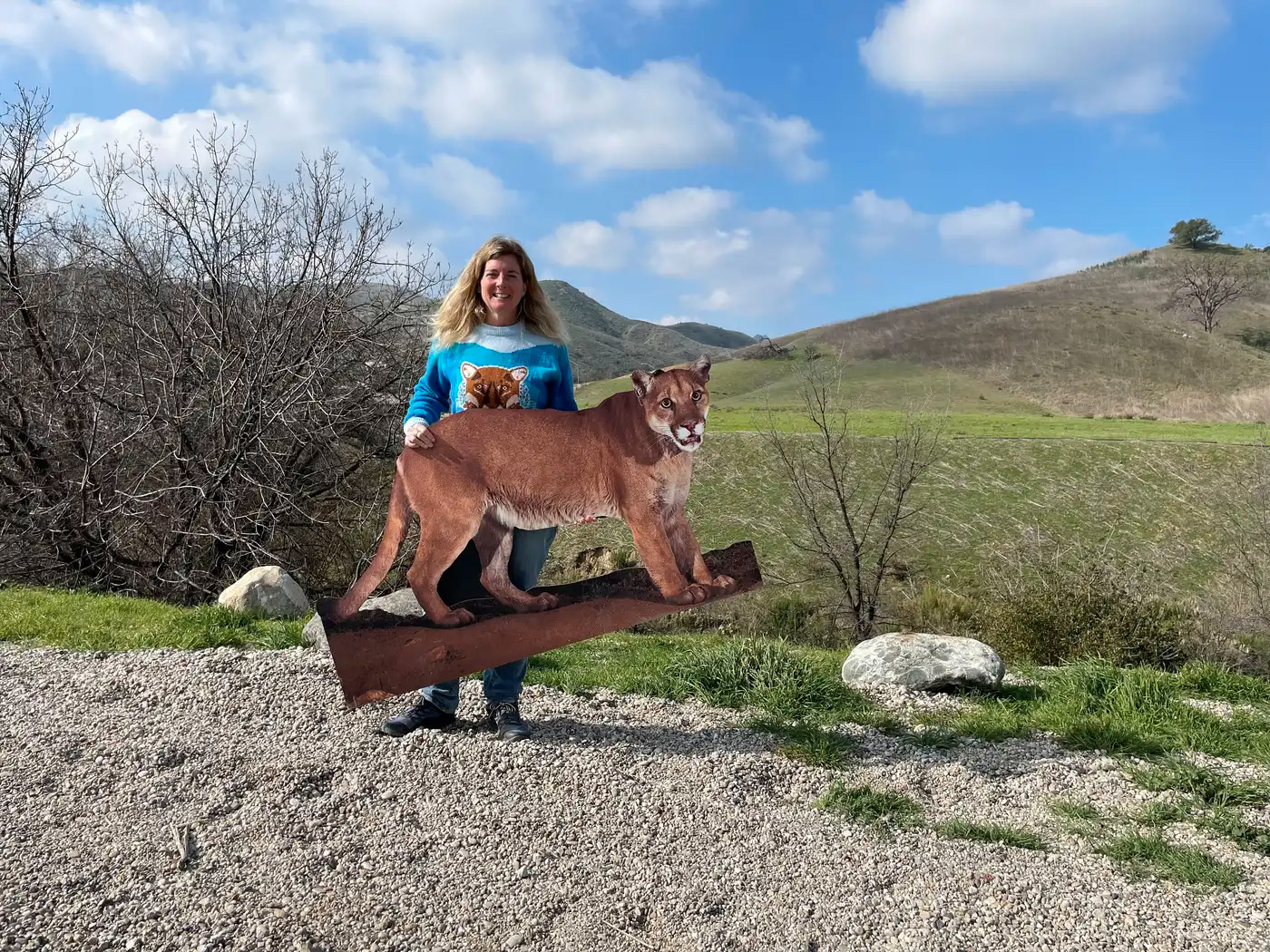 A wildlife crossing near Los Angeles aims to expand the terrain where animals can roam