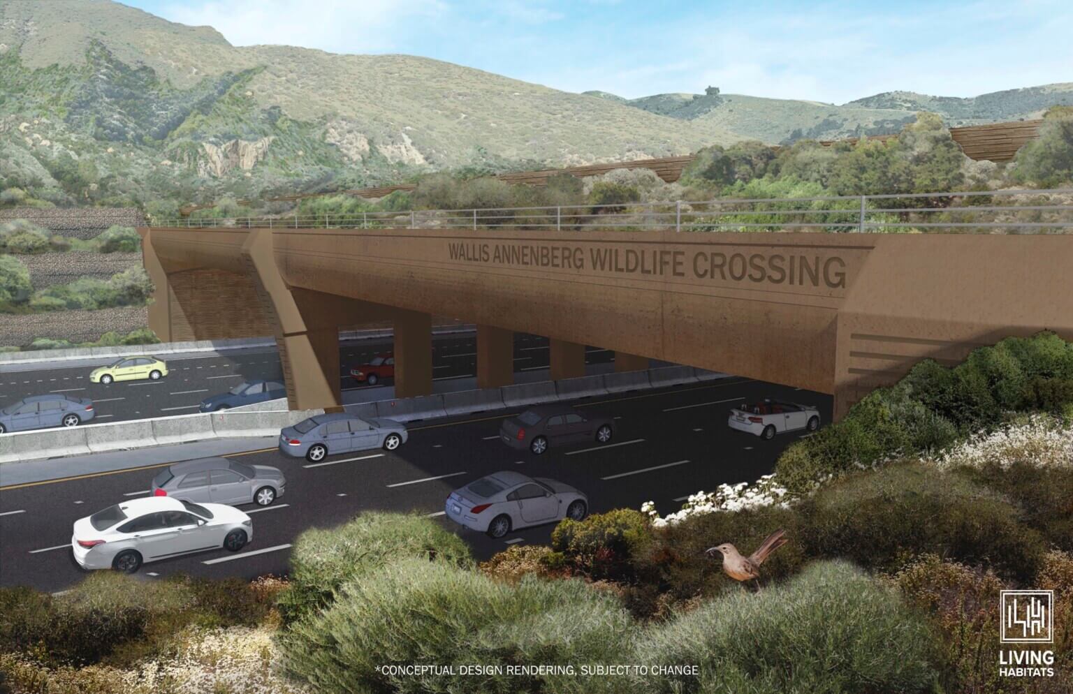 In California, work on the Wallis Annenberg Wildlife Crossing is now underway